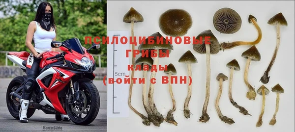 амф Заводоуковск