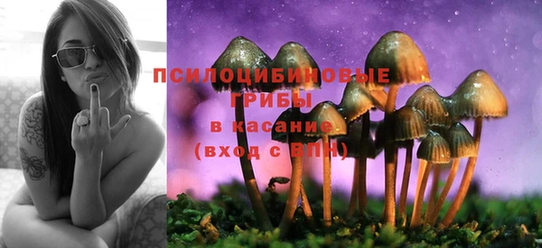 амф Заводоуковск