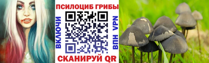 Псилоцибиновые грибы ЛСД  Купить где  Долинск 